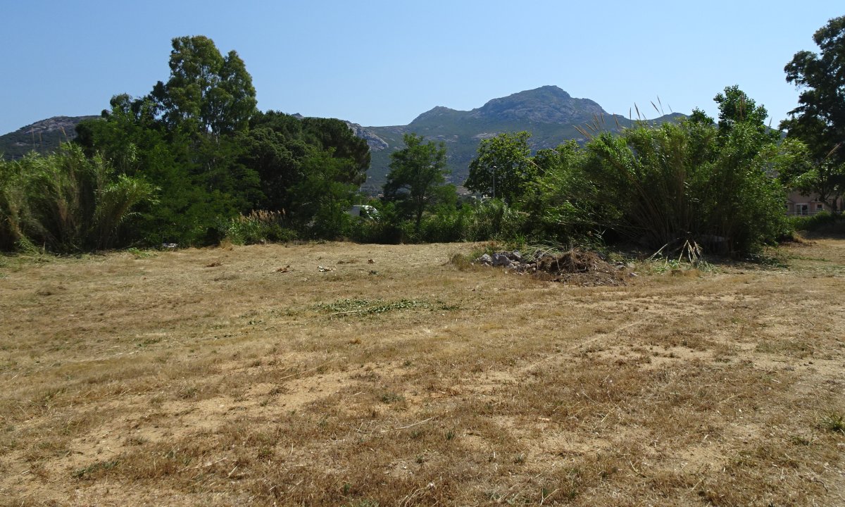 Résidence Côte Mer - Bât C - 20260 Calvi